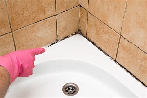 How To Remove Mold From Shower Caulk Or Tile Grout Blog