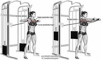 Chest Cable Press Standing Guide Exercise Lower