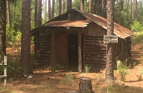 Check spelling or type a new query. Gator-Spotting At Okefenokee Swamp Park