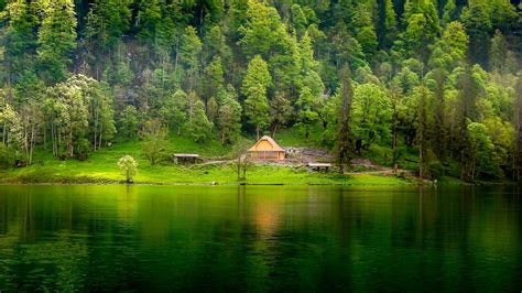 Hills Forest Lake Cabin Mist Water Nature Green Trees