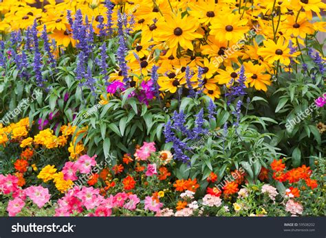 252 photos · 98 views. Colorful Flower Garden Of Yellow, Blue, Orange And Purple ...