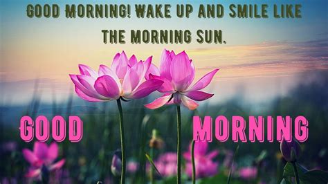 25 Beautiful Good Morning Sunshine Images With Quotes