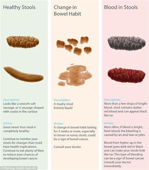 What Does Your Poo Say About You Chart Reveals Benessere And Health