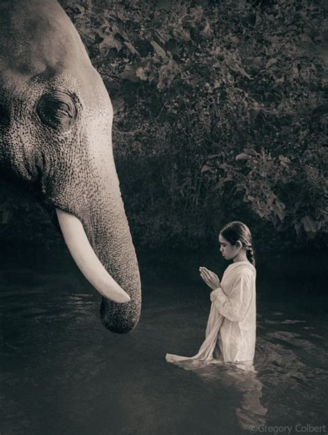 Gregory Colbert Ashes And Snow Yogi Times