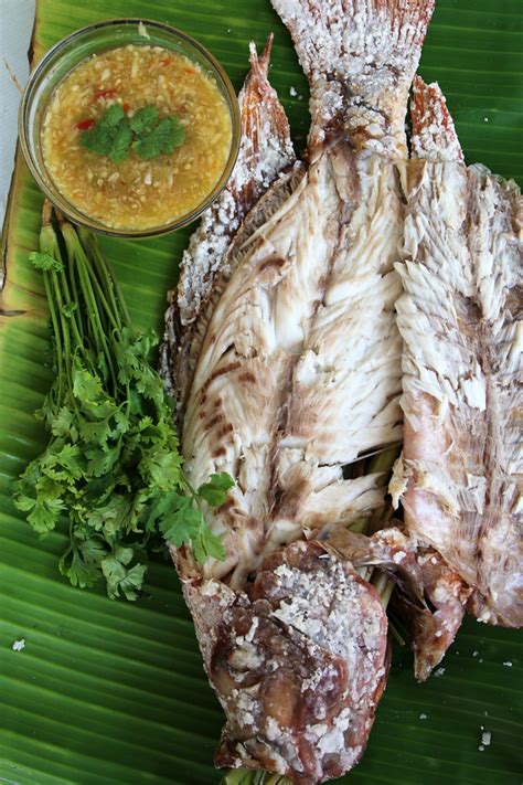Authentic Thai Grilled Fish Recipe Pla Pao ปลาเผา 世界杯塞内加尔vs荷兰皇冠比分