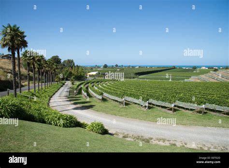 Esk Valley Wine Estate Bay View Napier New Zealand The Hawkes Bay
