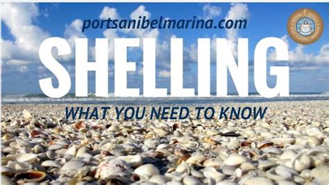 Take advantage of our package deals. Shelling on Sanibel Island: What You Need to Know