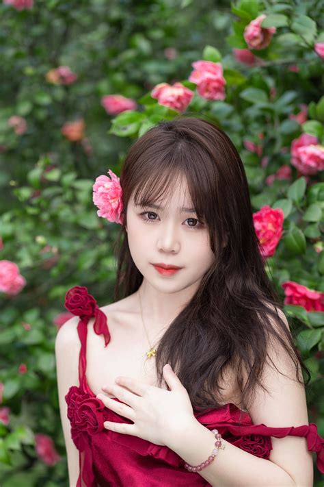 [Art Picture Language] 2023.12.24 Camellia can't understand red rose