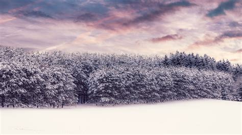 Winter Landscape 4k 8k Wallpapers Hd Wallpapers Id 27754