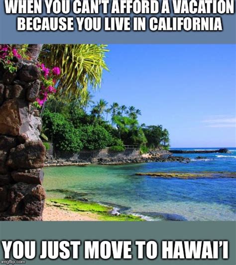 Hawaii Memes Photos Cantik
