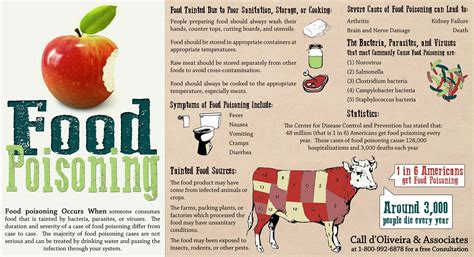 Food Poisoning Facts And Symptoms Infographic
