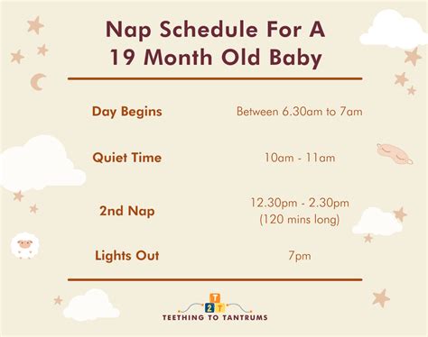 19 Month Old Sleep Schedule The Complete Guide