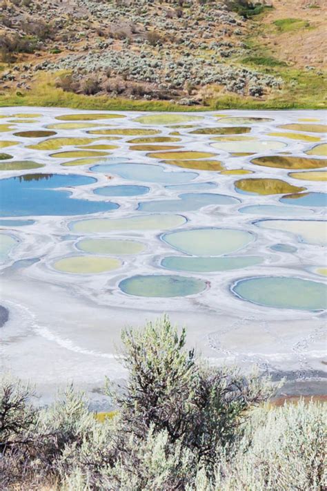 How To Visit Lake Kliluk Spotted Lake In Osoyoos Canada 2022 Facts