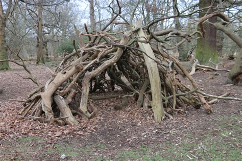 To Build Or Not To Build A Den Friends Of Richmond Park