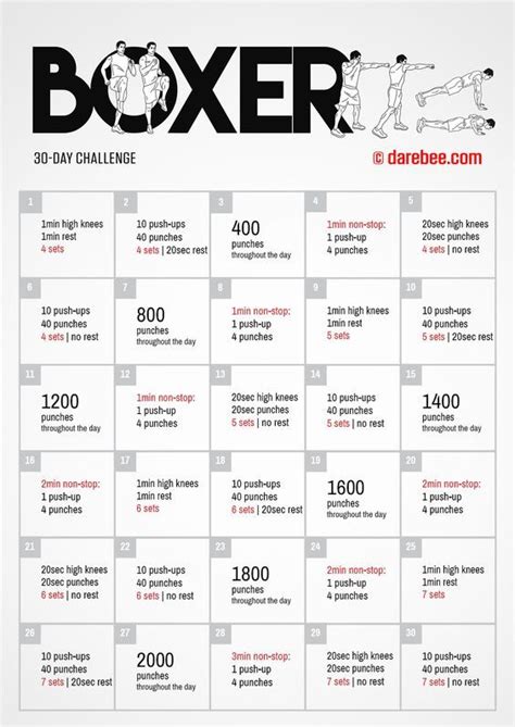 30 Day Boxer Challenge By Darebee Boxing Training Workout Boxing