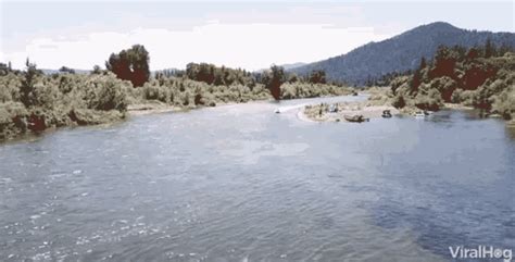 Viralhog Watersports GIF Viralhog Watersports Crash Discover