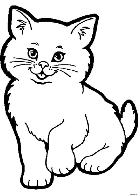 Coloriage dessin animaux chat à imprimer  Раскраски для взрослых