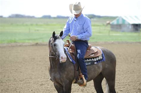 What Are The Benefits Of Western Riding Your Horse