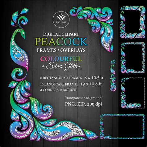 Frame Peacock Clipart Colorful Frames Corners Border With Etsy Singapore