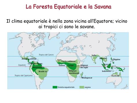 Ppt La Foresta Equatoriale E La Savana Powerpoint Presentation Free