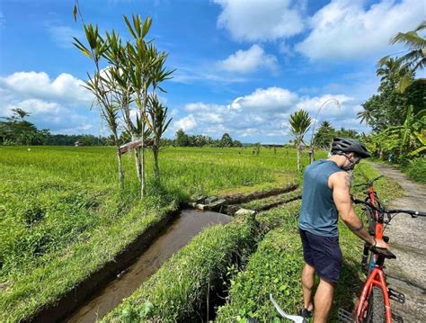 6 Tempat Terbaik Bersepeda Di Bali Ubud Hingga Karangasem