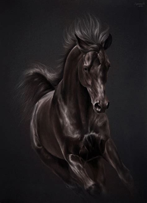 Pin By Teresa Slusnys On Equidae Horse Painting Horses Horse Drawings