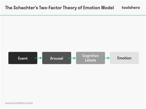 Two Factor Theory Of Emotion Toolshero