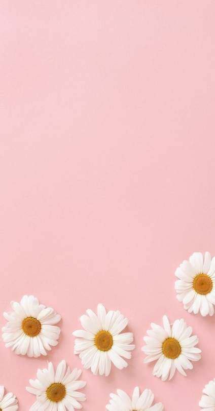 25 Greatest Pastel Aesthetic Flower Wallpaper Iphone You Can Download