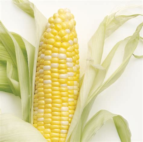 Corn Recipes Martha Stewart