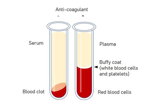 Serum vs plasma - nimfachat