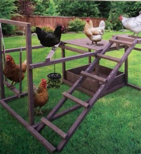 Chicken Playground Chicken Coop Chicken Diy Pet Chickens