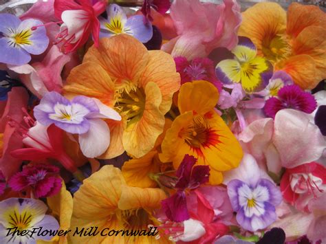 Their purpose is not solely for decorative purpose: #edibleflowers from www.theflowermillcornwall.co.uk ...