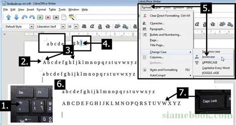 ใช้ปุ่มตัวอักษร พยัญชนะ สระภาษาอังกฤษใน LibreOffice Writer