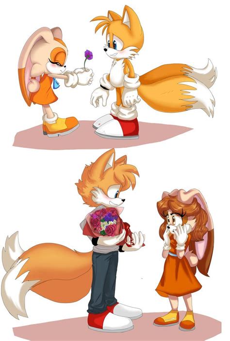 Happy Valentine S Day By Candicindy Sonic And Amy Sonic And Shadow Sonic Boom Shadow The