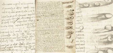 the leicester codex by leonardo da vinci the most expensive book in the world life persona