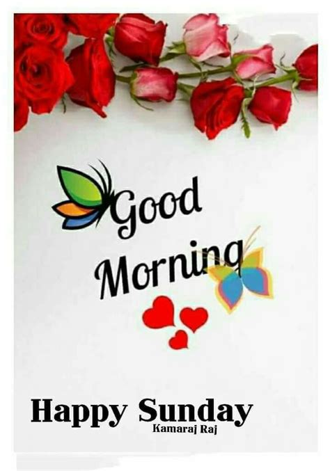 You may be looking for good morning happy sunday images for whatsapp dp, whatsapp status, instagram story, telegram, facebook, and messenger story. The 25+ best Sunday greetings images ideas on Pinterest ...