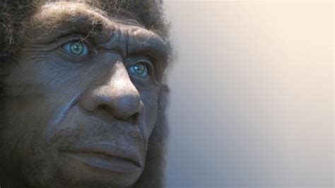 Bbc Earth The Surprising Way Neanderthals Got Herpes