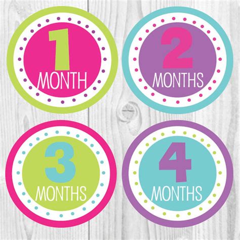 Free T Baby Girl Monthly Stickers Baby Monthly Stickers Etsy