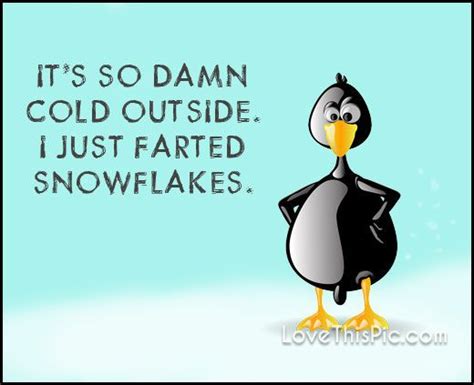 So Cold Funny Quotes Quote Winter Snow Humor Funny Cold Weather