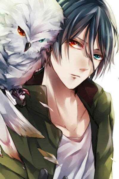 Anime Boy With Red And Blue Or Green Eyes And An Owl