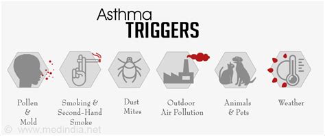 Factors that trigger Asthma