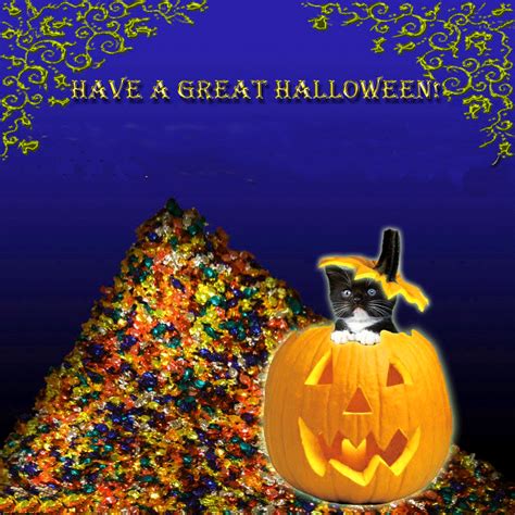 Free Download Download Halloween Wallpaper Funny Halloween 1000x1000