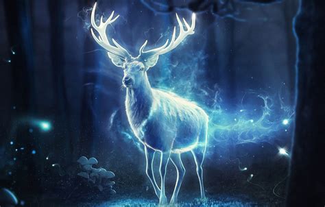 Wallpaper Night Forest Magic Deer Light Fantasy Horns Art