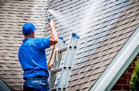 Roof Cleaning In Seattle Wa Roof Soft Washing Service