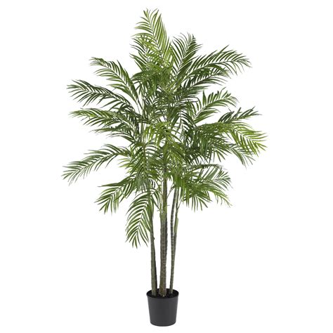 Home patio & garden holiday shop baby party supplies kitchen & dining buy online & pick up in stores all delivery options same day delivery include out of stock $0. 6 foot Areca Palm Tree: Potted | 5275