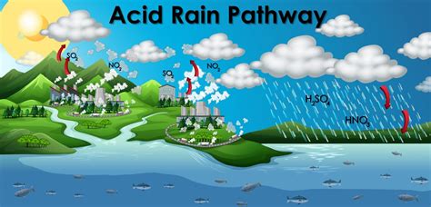 How Does Acid Rain Affect Climate Change Lets Talk Geography
