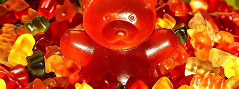 Top 7 Facts About Gummy Bears You Need To Know