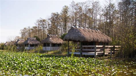 Seminole Tribe Of Florida Cultural Experiences