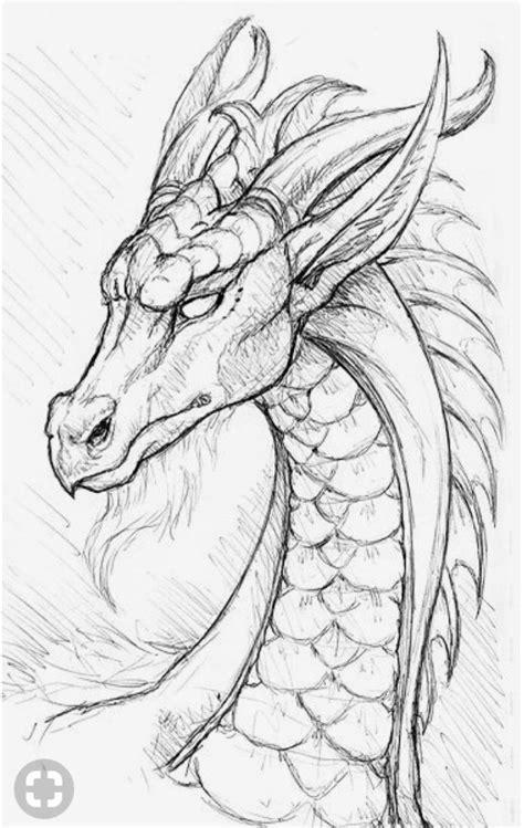 This time we will focus on how to draw a dragon step by step. Dragon | Art drawings sketches, Dragon sketch, Art drawings