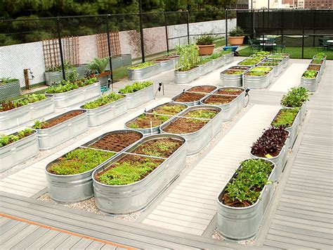 7 Of The Most Inspiring Urban Farm Projects Around The Country